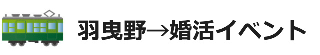 羽曳野市での婚活パーティーやお見合いイベント【2019年度版】徹底調査
